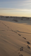 Fototapeta na wymiar Dune footprints