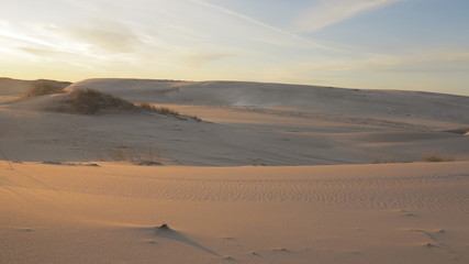 Polish Dunes 4