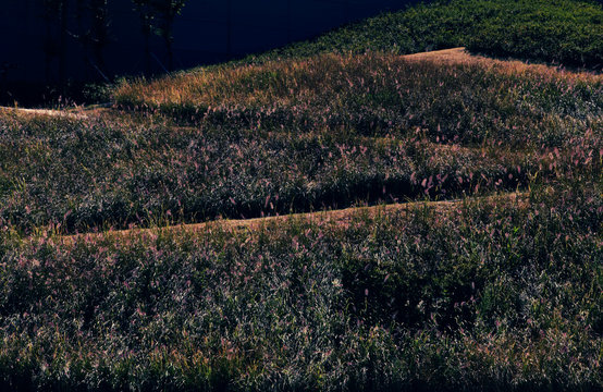 load on grass