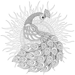 Peacock in zentangle style. Adult antistress coloring page. - 190467454