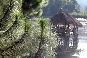 Nipa Huts by the Lake