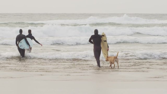 Handheld shot of male friends carrying surfboards while walking with dog in sea against sky
