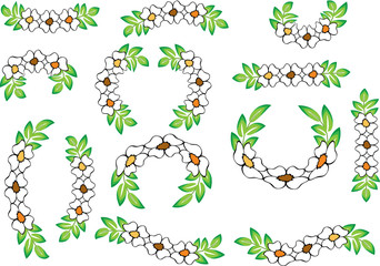 flower border background