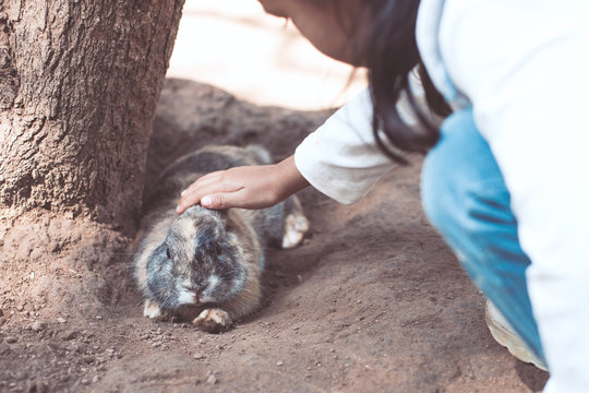 Cute asian little child girl touching and playing with real rabbit in the farm with  tenderness