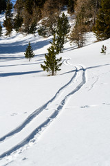 Track in the snow at Zirbitzkogel, Austria 