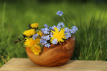 field medicinal herbs. field grass and flowers in a wooden cup on a wooden board on a green vegetative background.Dandelions flowers, forget-me-nots and catnip