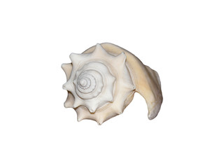Isolated shell