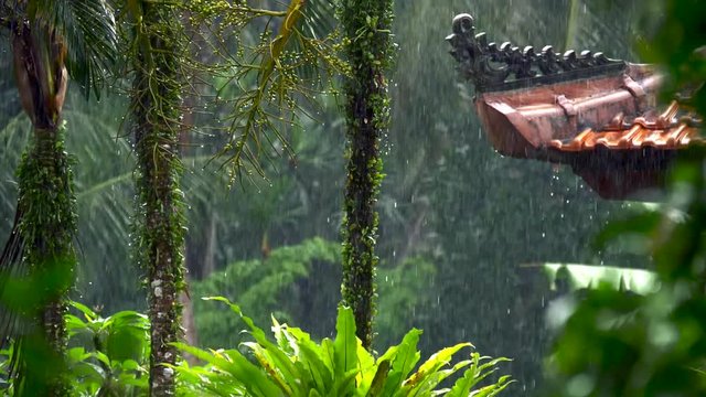 Slow motion shot of tropical rain. Indonesian island of Bali.