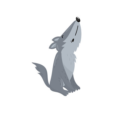 Cute wolf woodland howling cartoon animal vector Illustration