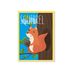 Cute squirrel vector illustration with woodland animal, design element for banner, flyer, placard, greeting card, cartoon style
