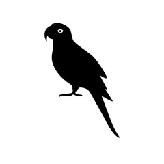 Alexandrine parrot silhouette icon in flat style