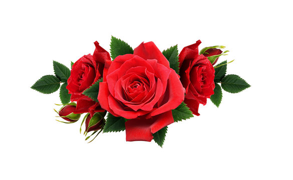 Red rose flowers in a line arrangement