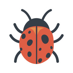 bug icon image