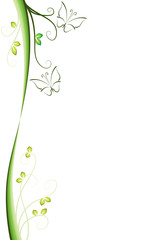 Fototapeta na wymiar plant and flower background