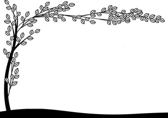 plant and flower background