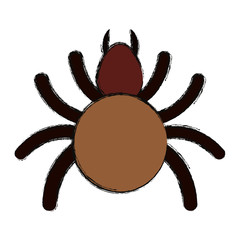 tick insect icon