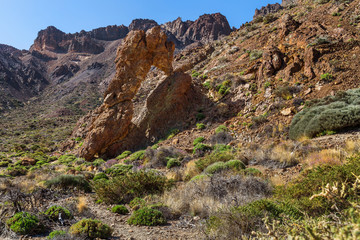Fototapeta na wymiar Shoe-shaped rock and volcanic formation in the Teide national Park, Canary Islands, Spain