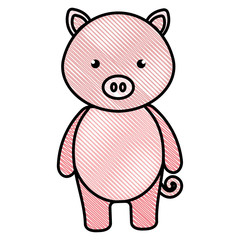 cute and tender pig character vector illustration design