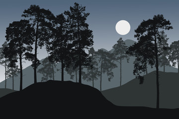 Vector illustration of pine forest in mountain landscape