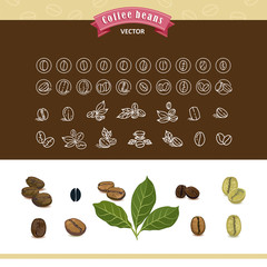Set of vector coffee beans on white background.