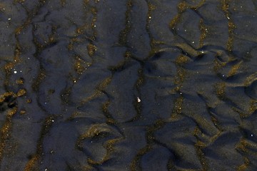 wet black sand