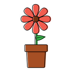 potted flower natural decoration interior vector illustration