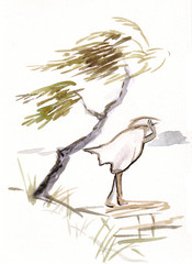 Obraz premium Bad weather