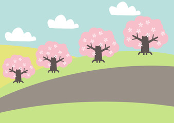 Naklejka na ściany i meble 桜の木の風景。春の野山の風景。桜の花の風景。