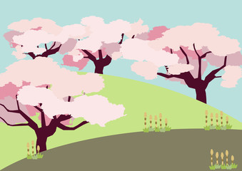 Naklejka na ściany i meble 桜の木の風景。春の野山の風景。桜の花の風景。
