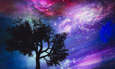 Fototapeta na wymiar Night sky abstract background with tree silhouette 