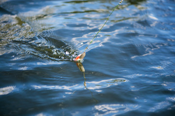 Old plastic spinning bait catching fishes in water. Splashes, water drops around. Calm water background. Fishing equipment. Favorite leisure activity for men at the weekend