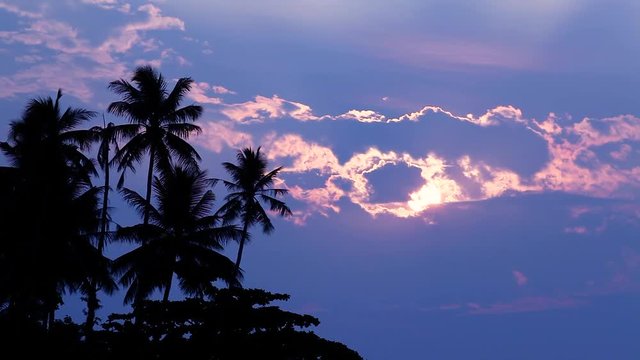 beautiful cloudy sunset sky with tropical palms
