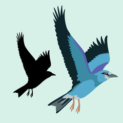 roller bird vector illustration flat style black silhouette
