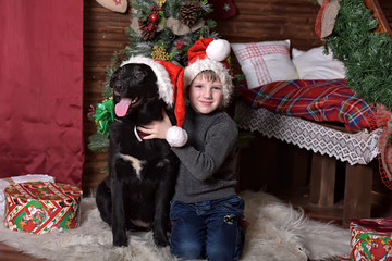 boy with a black dog with a mongrel in Christmas caps at a Christmas tree - obrazy, fototapety, plakaty