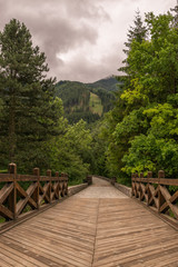 Bridge of castle Strecno