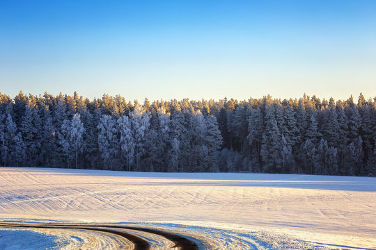 Fototapeta .Road along the winter forest.