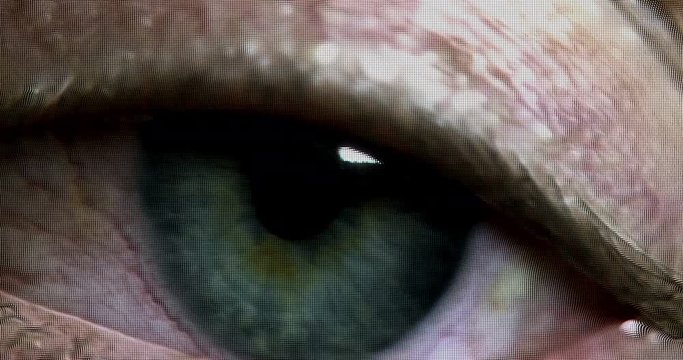 Scanning through a digital eye 