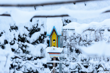 Little bird house in the snow