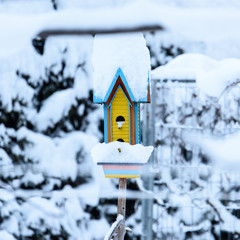 Naklejka premium Little bird house in the snow