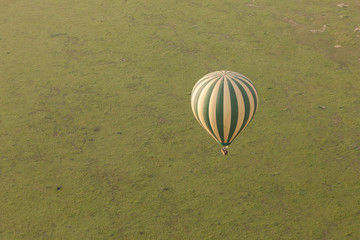Obraz premium hot air balloon over the Maasai Mara