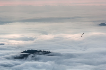 Beautiful mountain landscape of a foggy morning, Ceahlau massif, Eastern Carpathians, Moldova, Romania