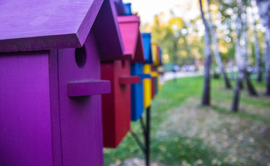 Colorful houses for birds.