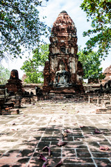 Ayutthaya, Tempio Wat Maha That, Thailandia