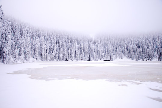 Mummelsee Im Winter