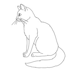 Cat coloring book page. Vector illustration isolated on white background.