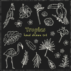 Hand drawn doodle tropics set © fafarumba