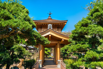 Fototapeta premium Nan Lian Garden, a Chinese Classical Garden in Hong Kong
