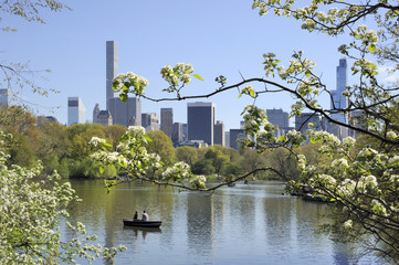 Naklejka premium Central Park with skyline of Manhattan New York in summer time