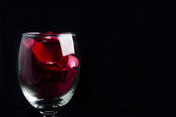 red roses and maried ring