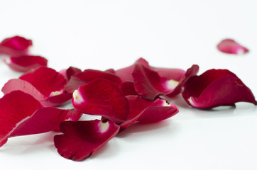 red roses and maried ring